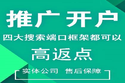 SEM推广托管，案例展示转化率提升